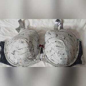 Ambrielle Organic Cotton Underwire Full Coverage Bra 44DDD Grey NWT